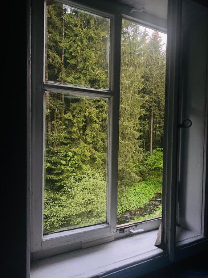 Penzion Lesni Zatisi- Harrachov Buitenkant foto