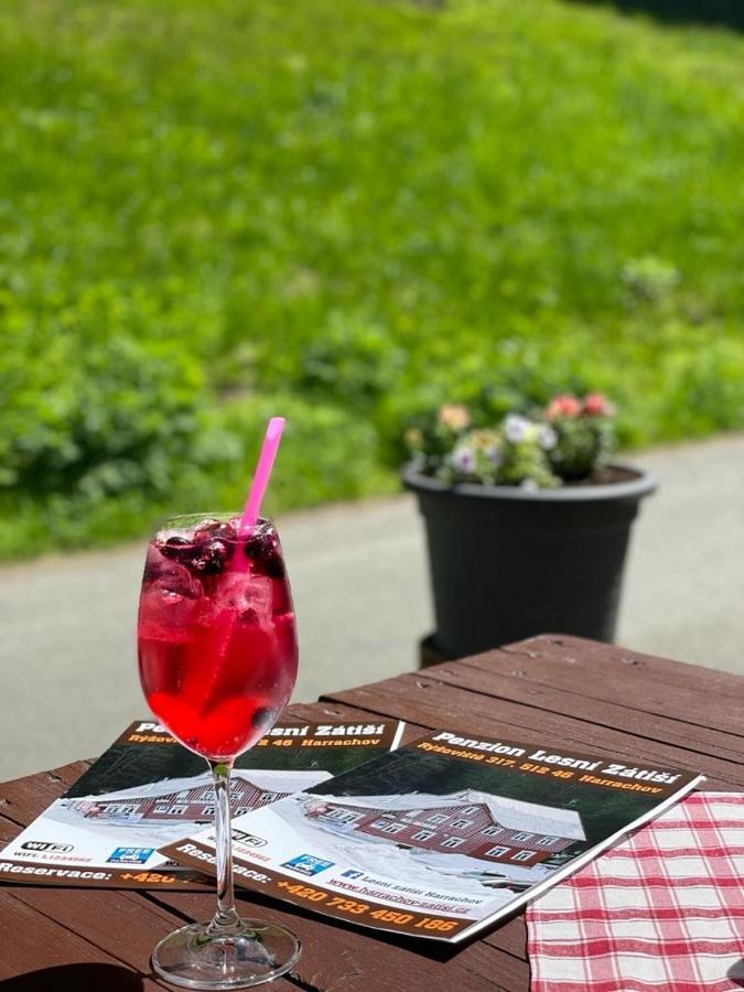 Penzion Lesni Zatisi- Harrachov Buitenkant foto