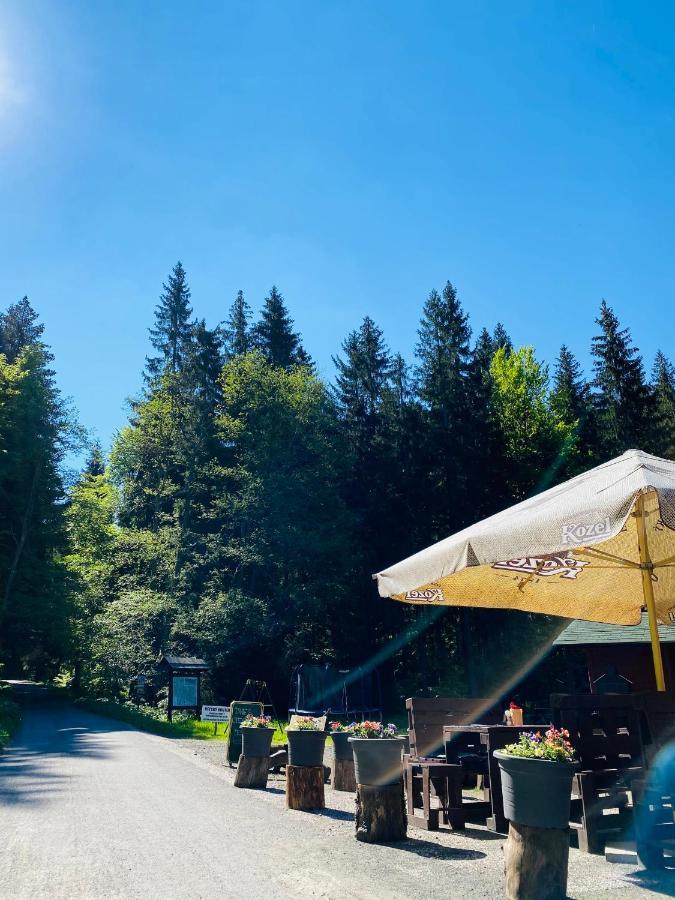 Penzion Lesni Zatisi- Harrachov Buitenkant foto