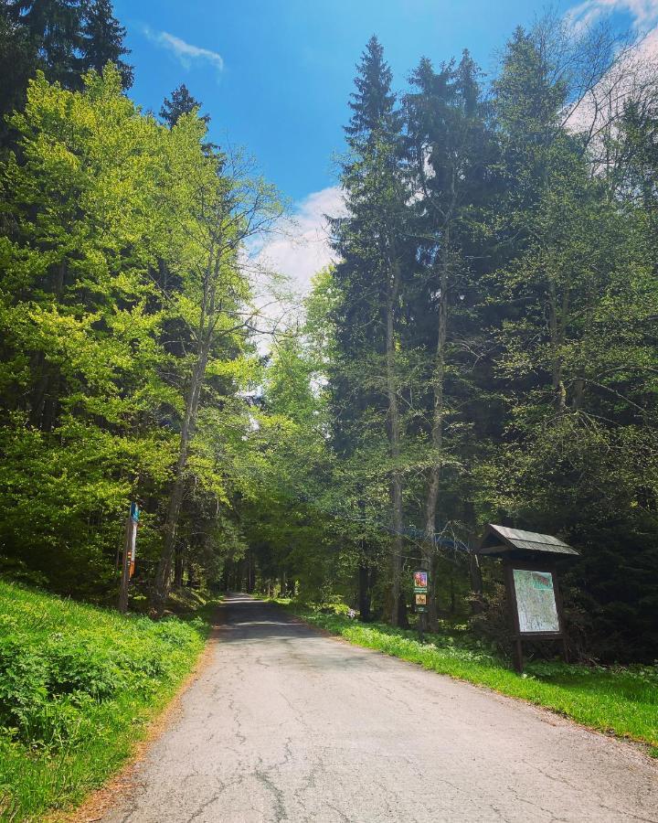 Penzion Lesni Zatisi- Harrachov Buitenkant foto