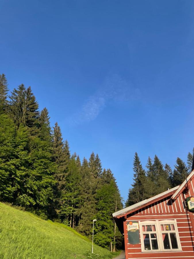 Penzion Lesni Zatisi- Harrachov Buitenkant foto