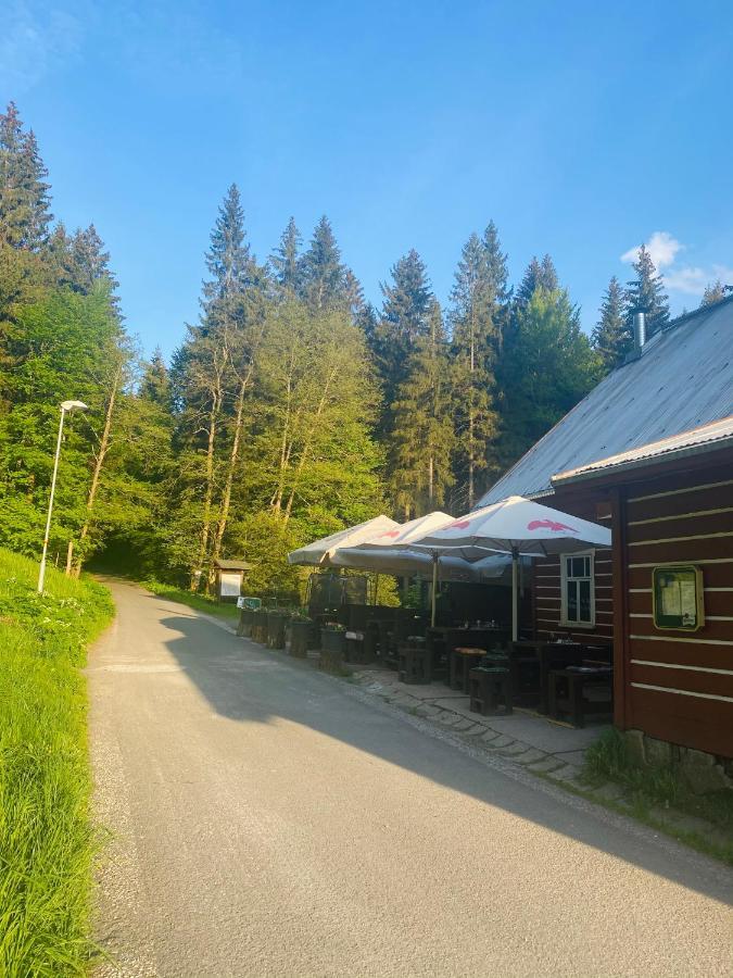 Penzion Lesni Zatisi- Harrachov Buitenkant foto