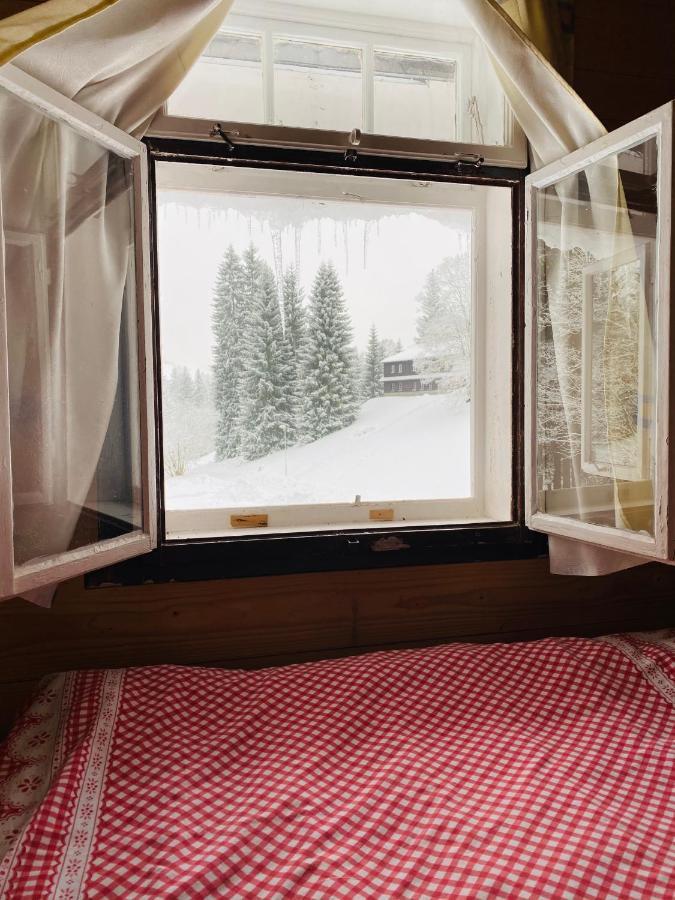Penzion Lesni Zatisi- Harrachov Buitenkant foto