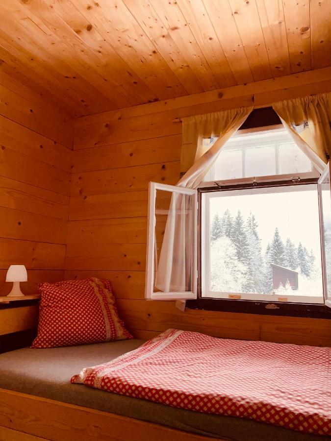 Penzion Lesni Zatisi- Harrachov Buitenkant foto