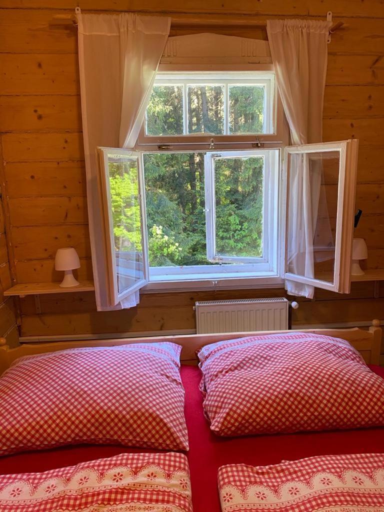 Penzion Lesni Zatisi- Harrachov Buitenkant foto