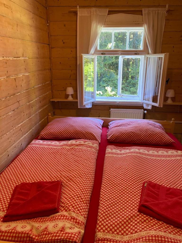 Penzion Lesni Zatisi- Harrachov Buitenkant foto